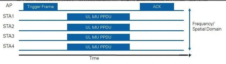 1655287592323192.png 小棗君 7.png